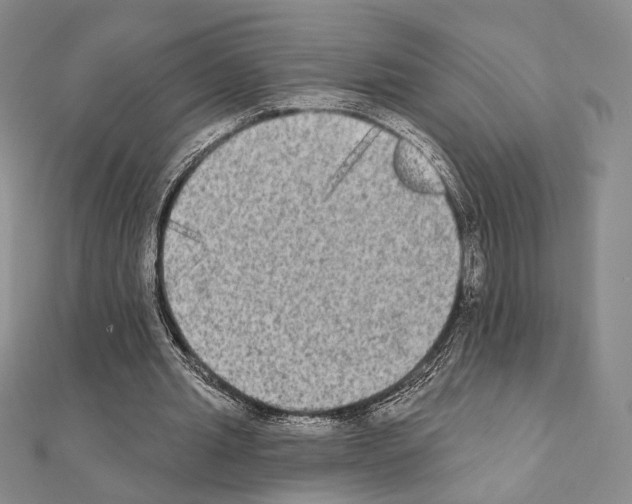 X0000111220437200908131105