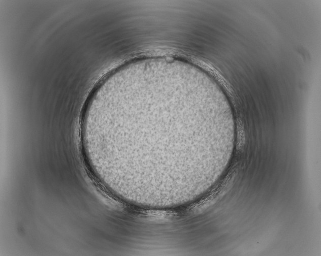 X0000111220439200908131105