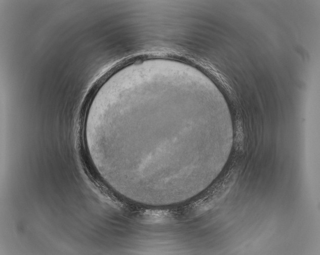 X0000111220440200908131105