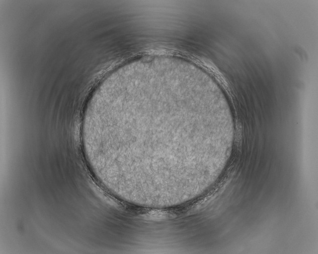 X0000111220441200908131105