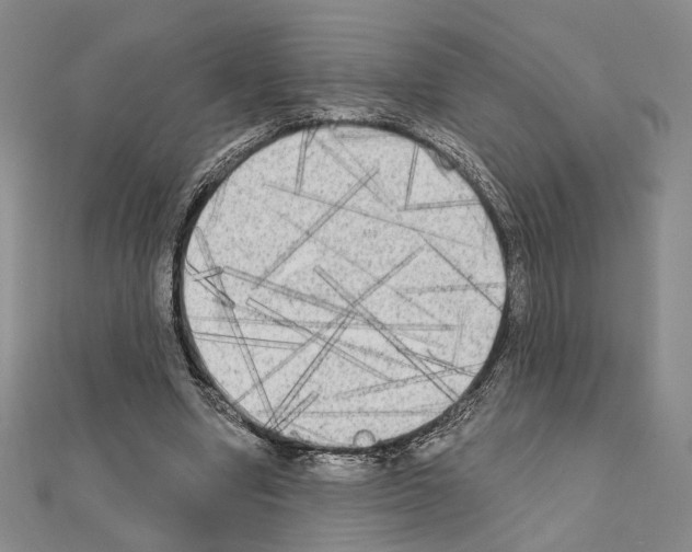 X0000111220442200908131105
