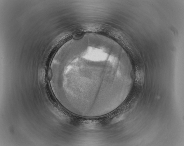 X0000111220444200908131105