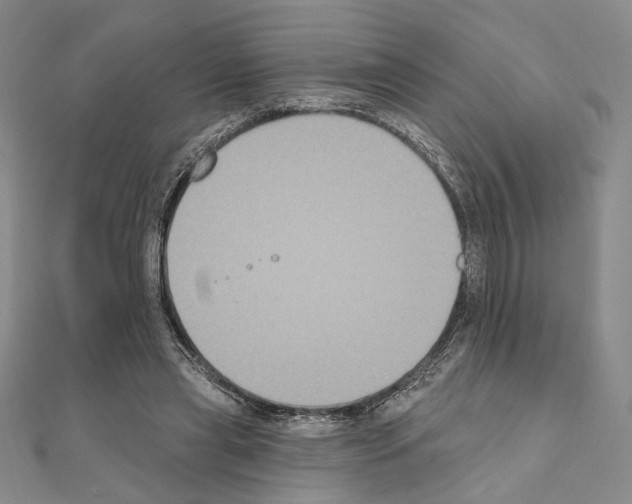 X0000111220445200908131105