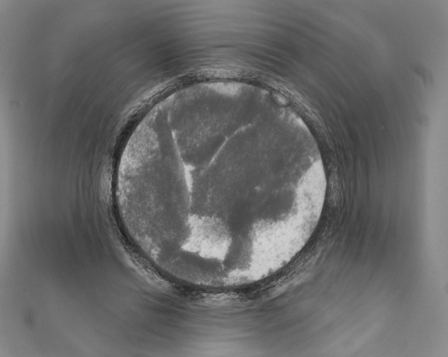 X0000111220446200908131105
