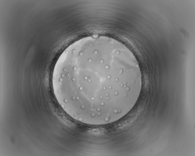X0000111220447200908131105