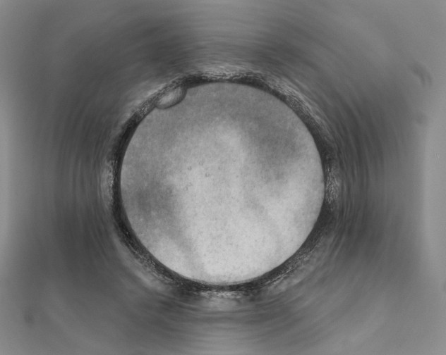 X0000111220448200908131105