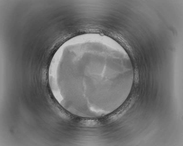 X0000111220449200908131105