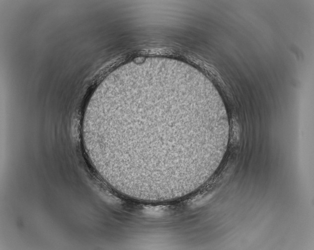 X0000111220450200908131105