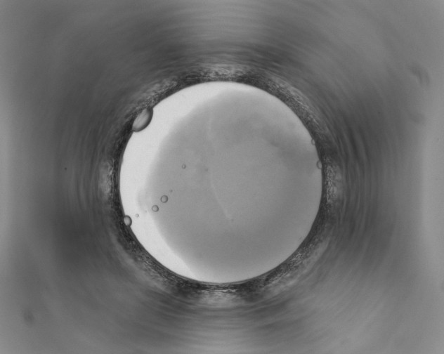X0000111220451200908131105