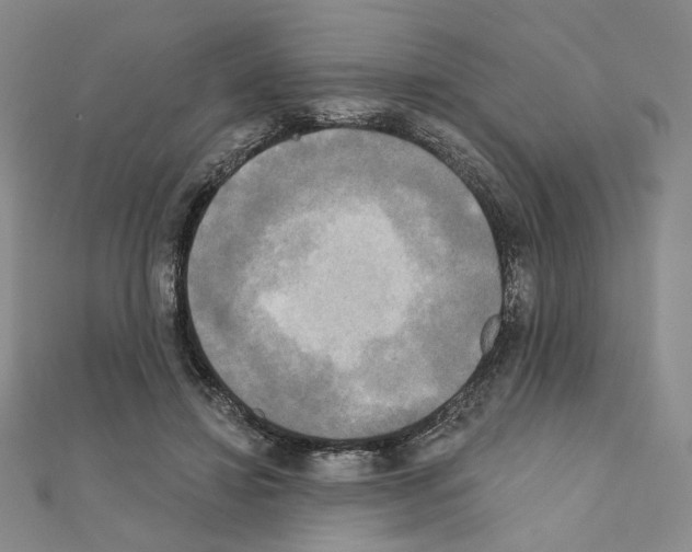 X0000111220452200908131105