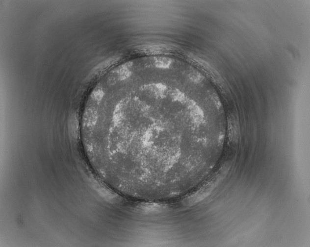 X0000111220453200908131105