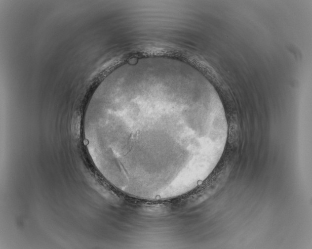 X0000111220454200908131105