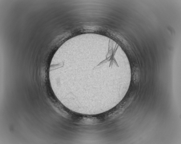 X0000111220455200908131105