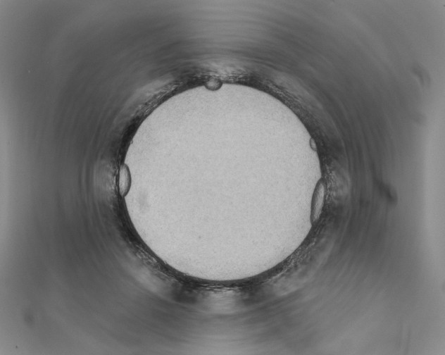 X0000111220456200908131105