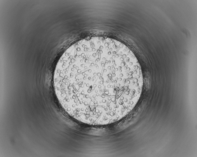X0000111220458200908131105