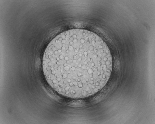 X0000111220459200908131105