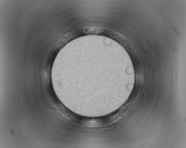 X0000111220460200908131105