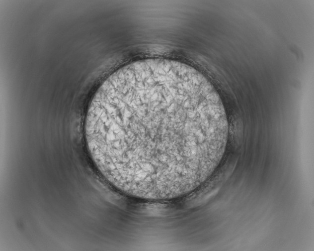 X0000111220462200908131105