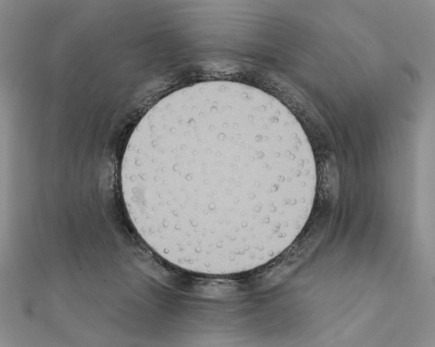 X0000111220463200908131105