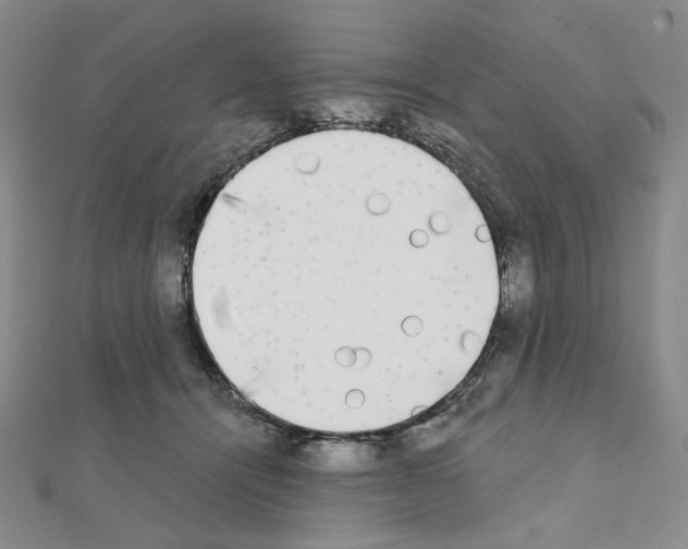 X0000111220464200908131105