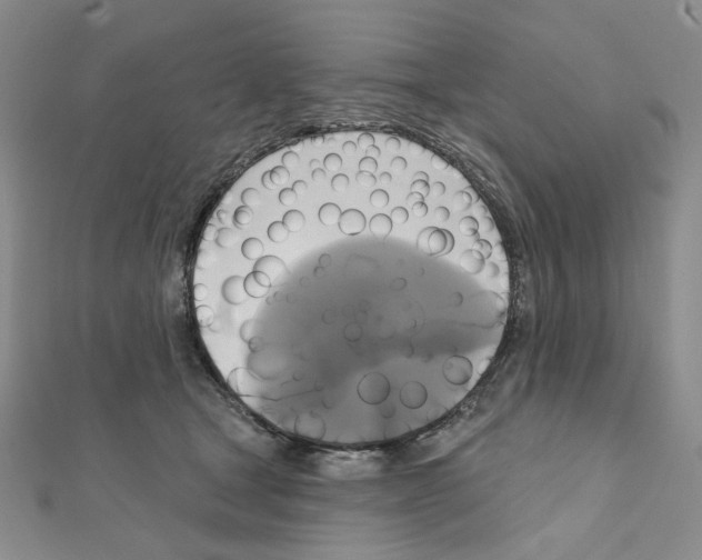 X0000111220465200908131105