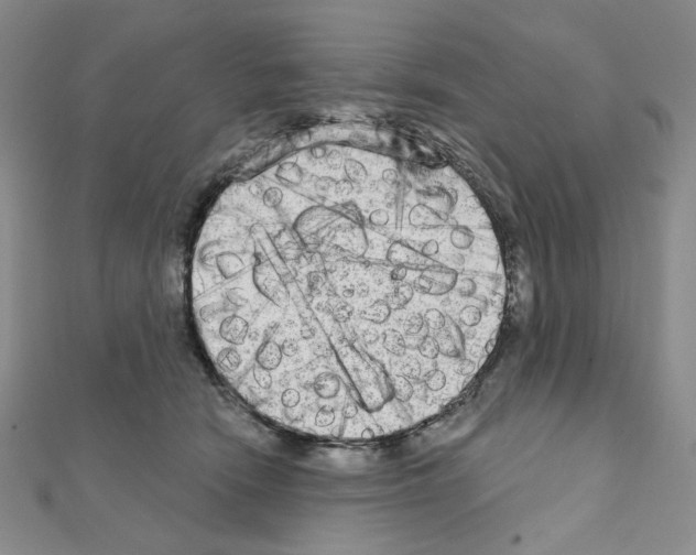 X0000111220466200908131105