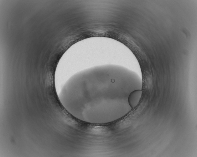 X0000111220467200908131105