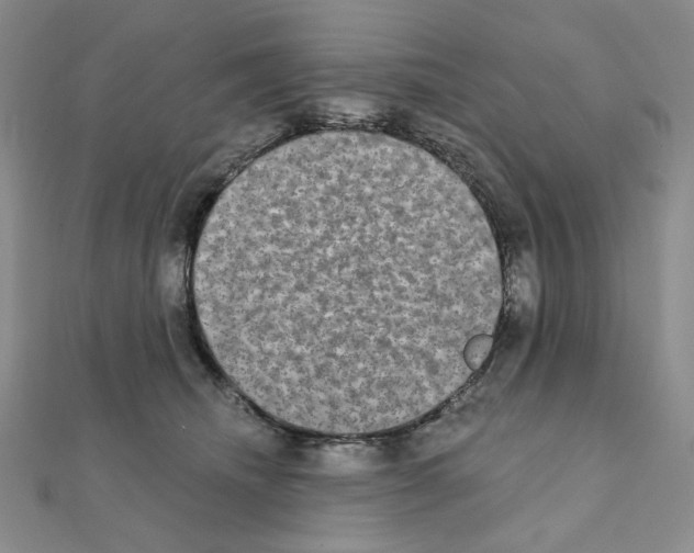 X0000111220468200908131105
