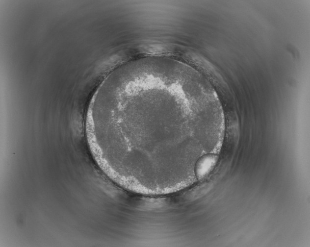X0000111220469200908131105
