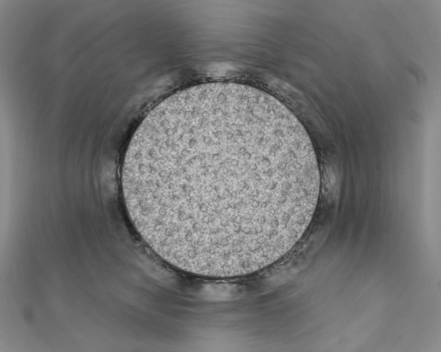 X0000111220470200908131106