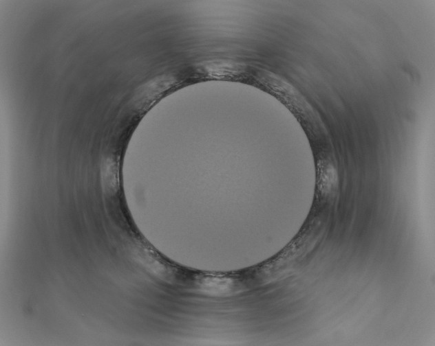 X0000111220471200908131106