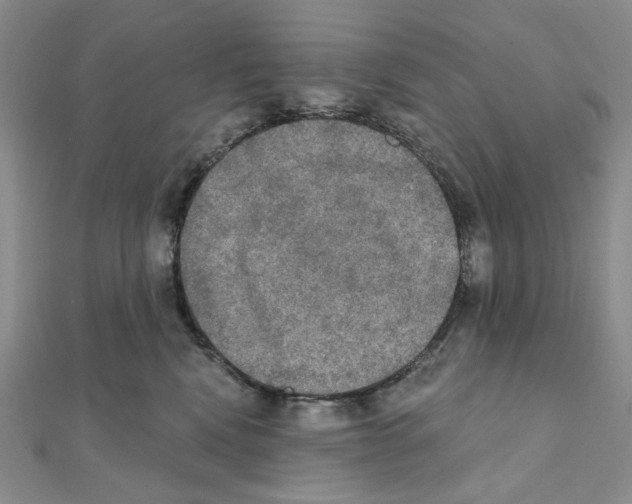 X0000111220472200908131106