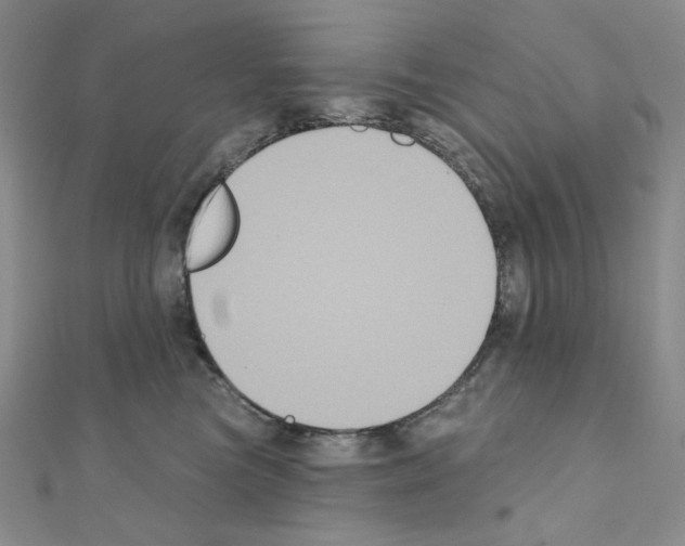 X0000111220473200908131106