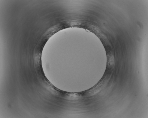 X0000111220475200908131106