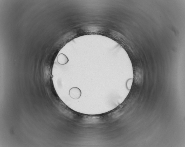 X0000111220476200908131106