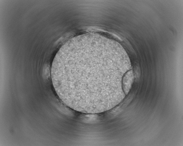 X0000111220478200908131106