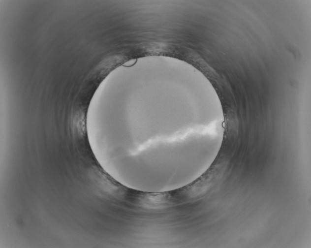 X0000111220479200908131106