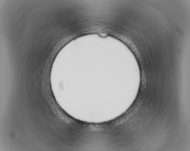 X0000111220481200908131105