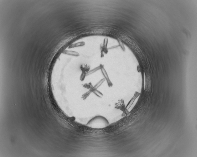 X0000111220483200908131105
