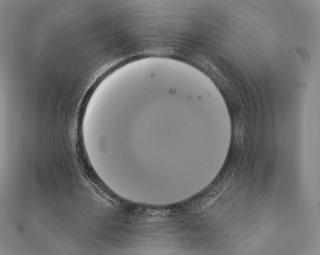 X0000111220484200908131105