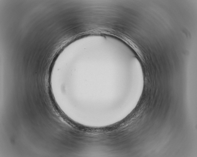 X0000111220485200908131105