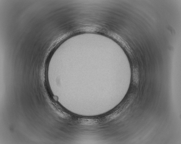 X0000111220486200908131105