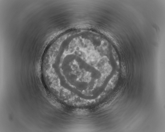 X0000111220487200908131105