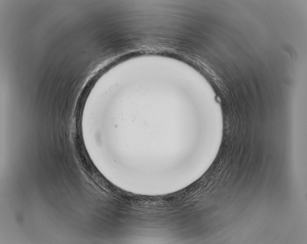 X0000111220488200908131105