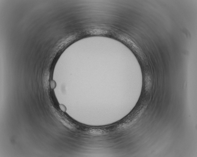 X0000111220490200908131105