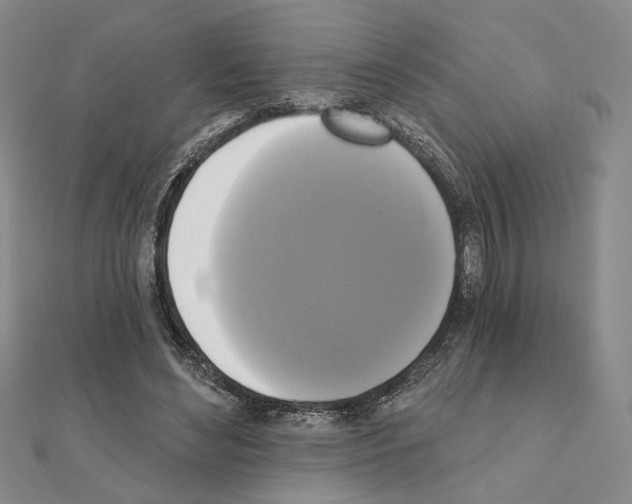 X0000111220492200908131105