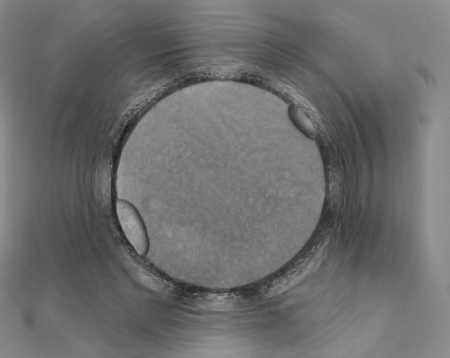 X0000111220493200908131105