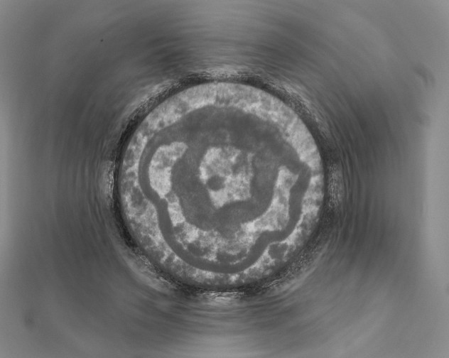 X0000111220495200908131105