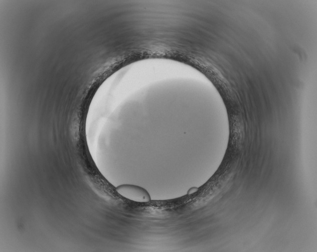 X0000111220496200908131105