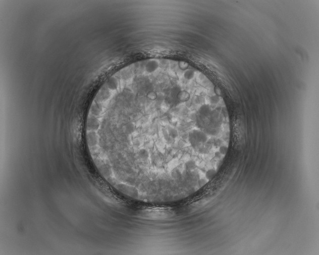 X0000111220499200908131105
